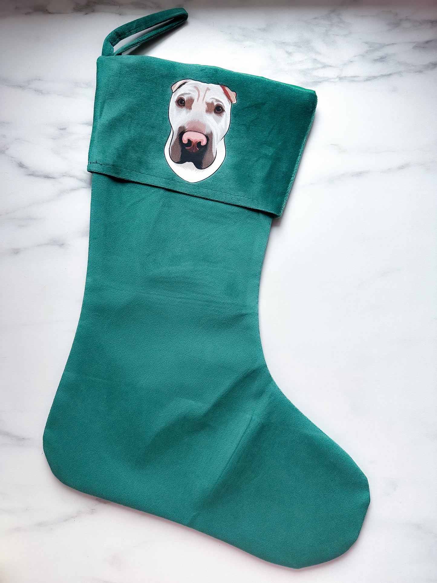 Din hund på julesok - Farveportræt