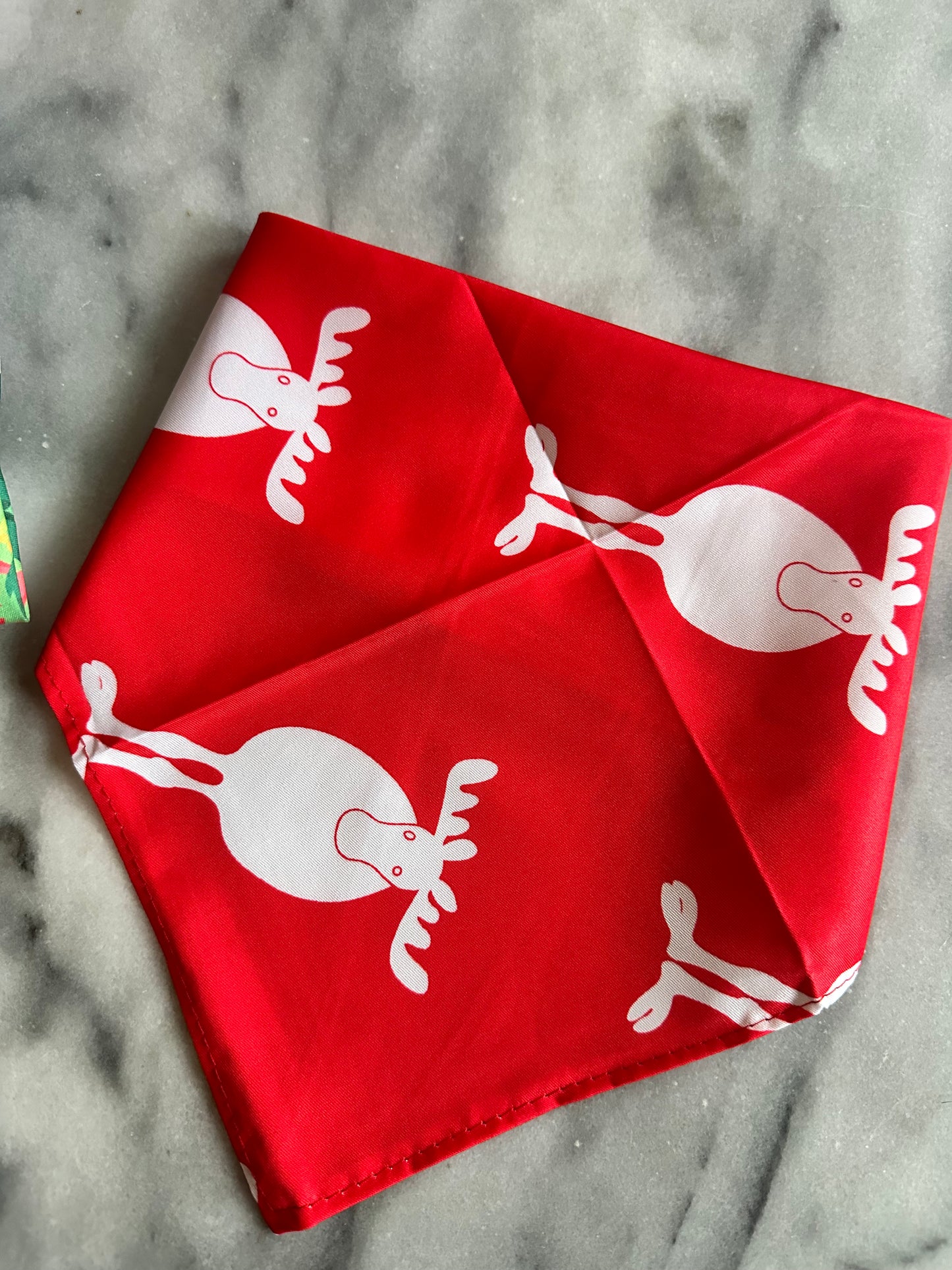 Jule Bandana - Elge