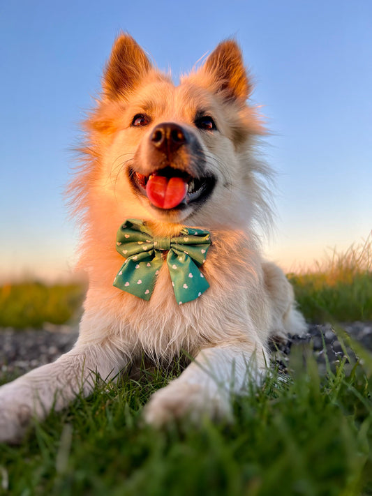 Sailor Bow - Hjerter - Grøn