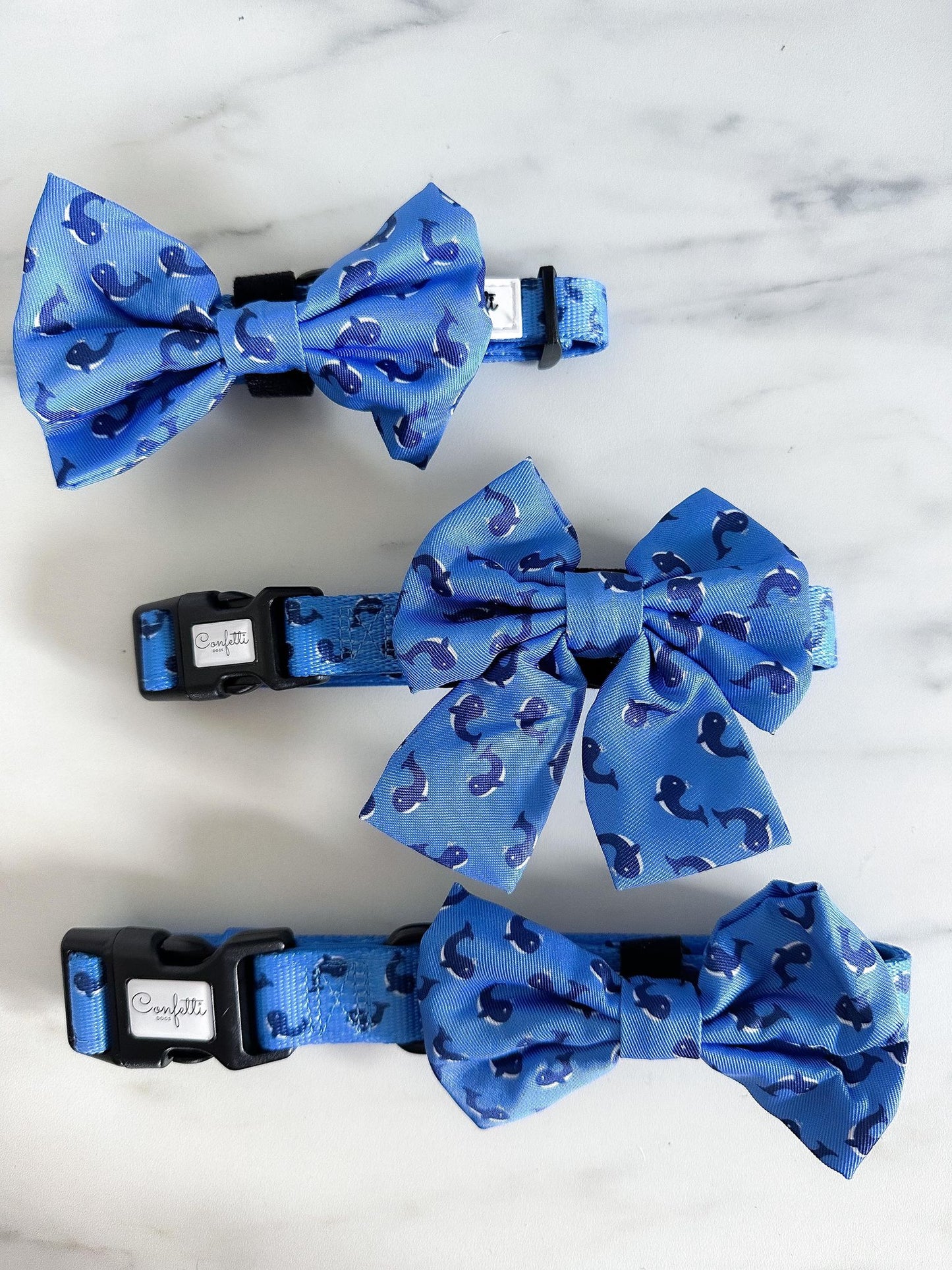 Sailor Bow - Hvaler