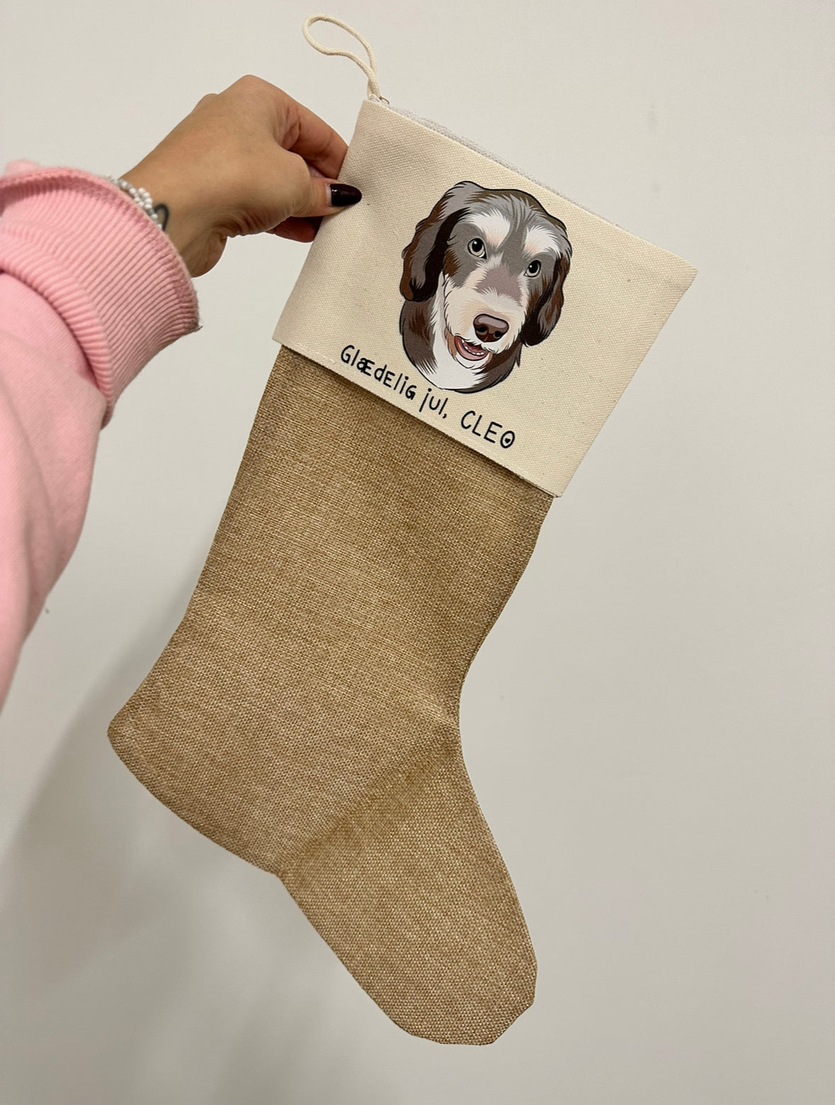 Din hund på julesok - Farveportræt