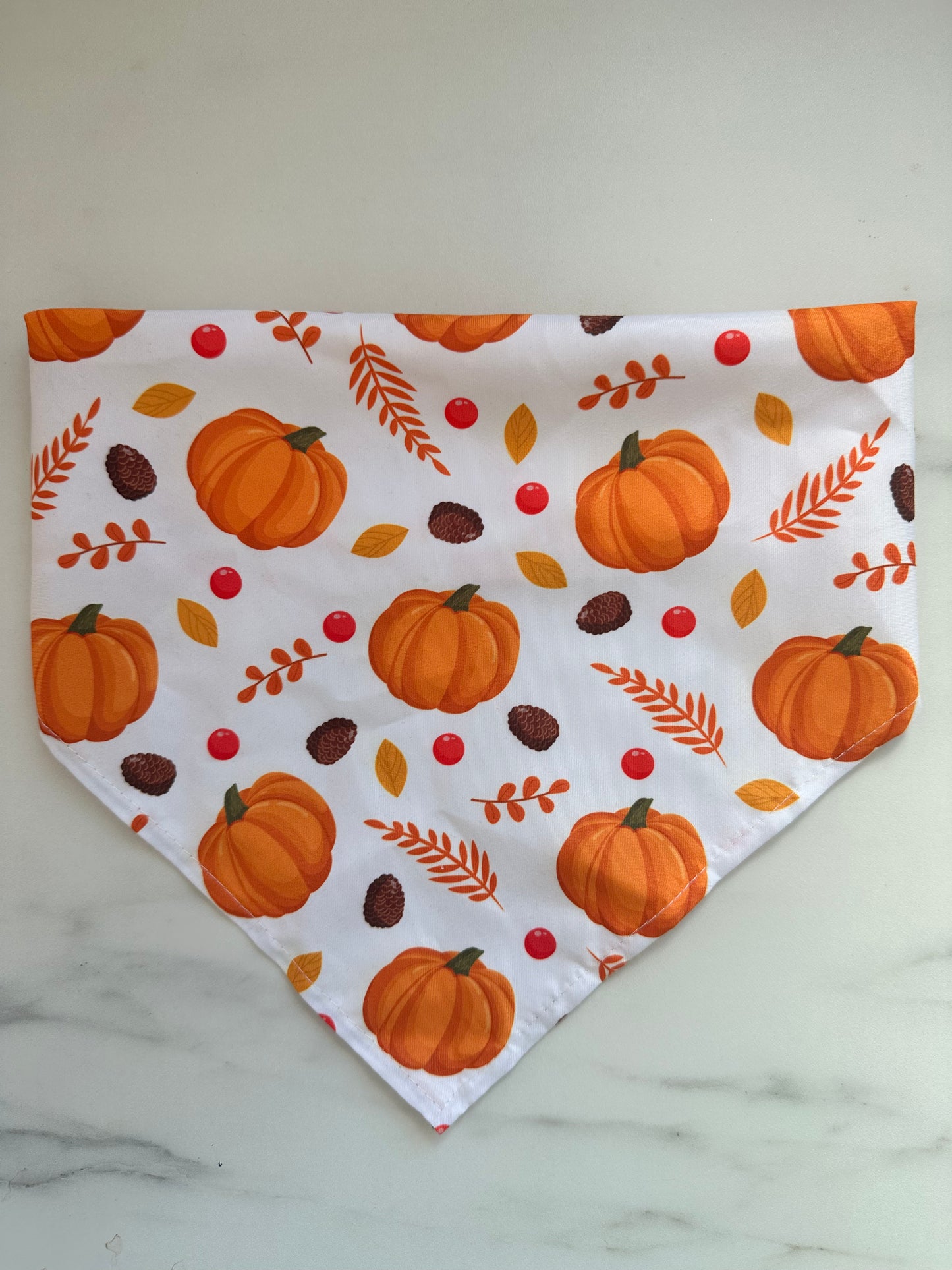 Pumpkin Patch - Efterårs Bandana til hund