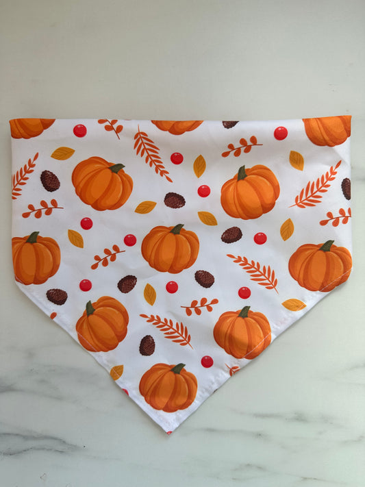 Pumpkin Patch - Efterårs Bandana til hund
