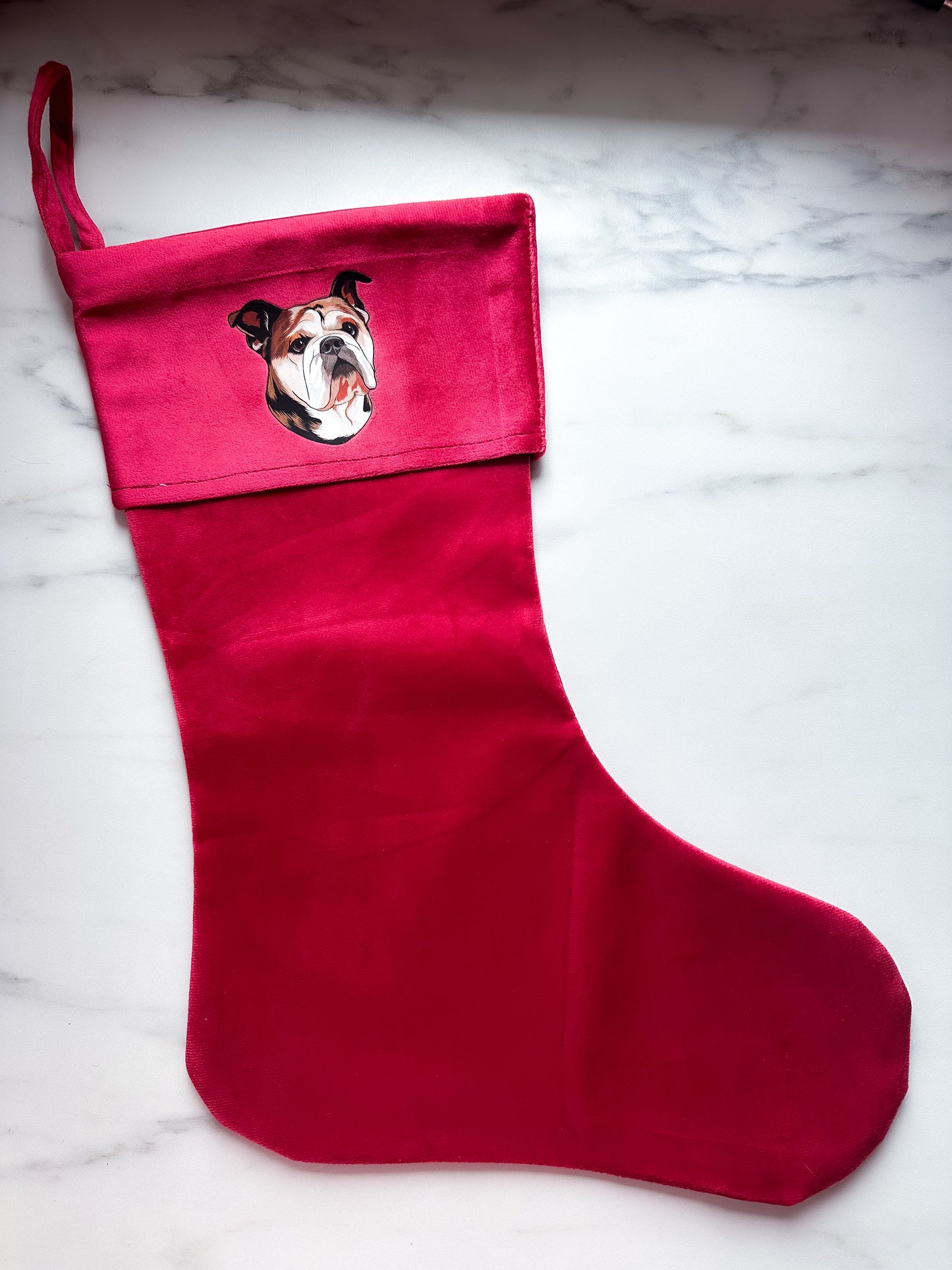 Din hund på julesok - Farveportræt