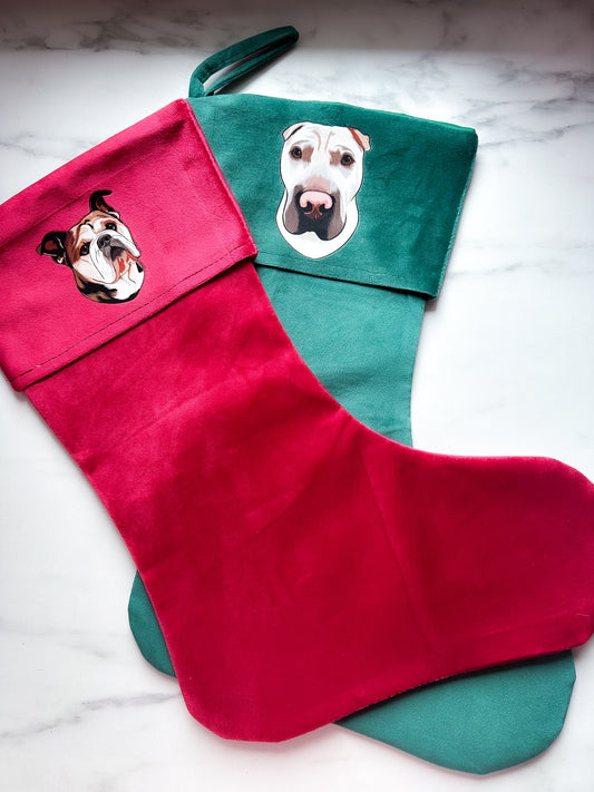 Dit dyr på julesok - Farveportræt