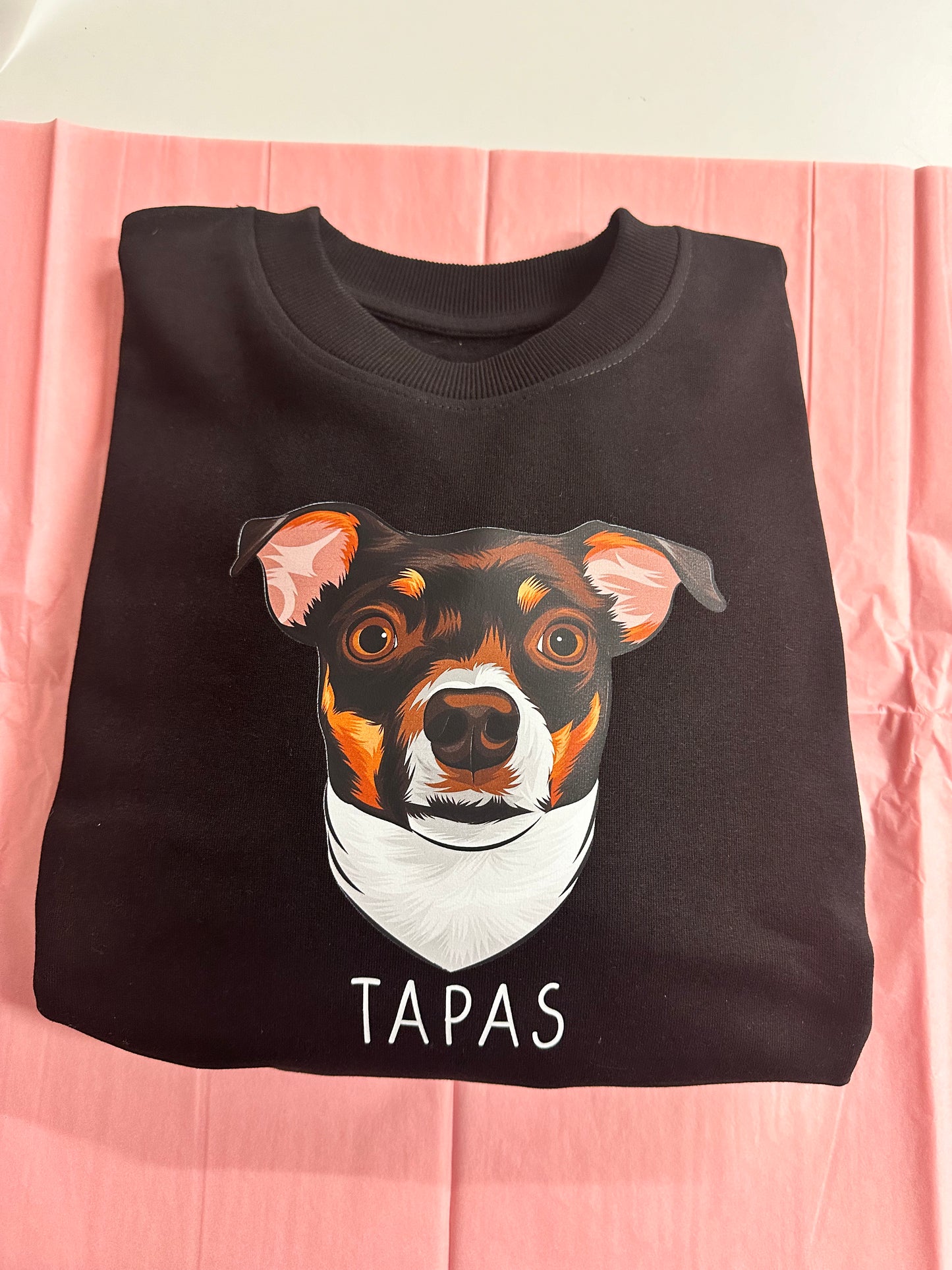 Dit dyr på sweater - Farveportræt