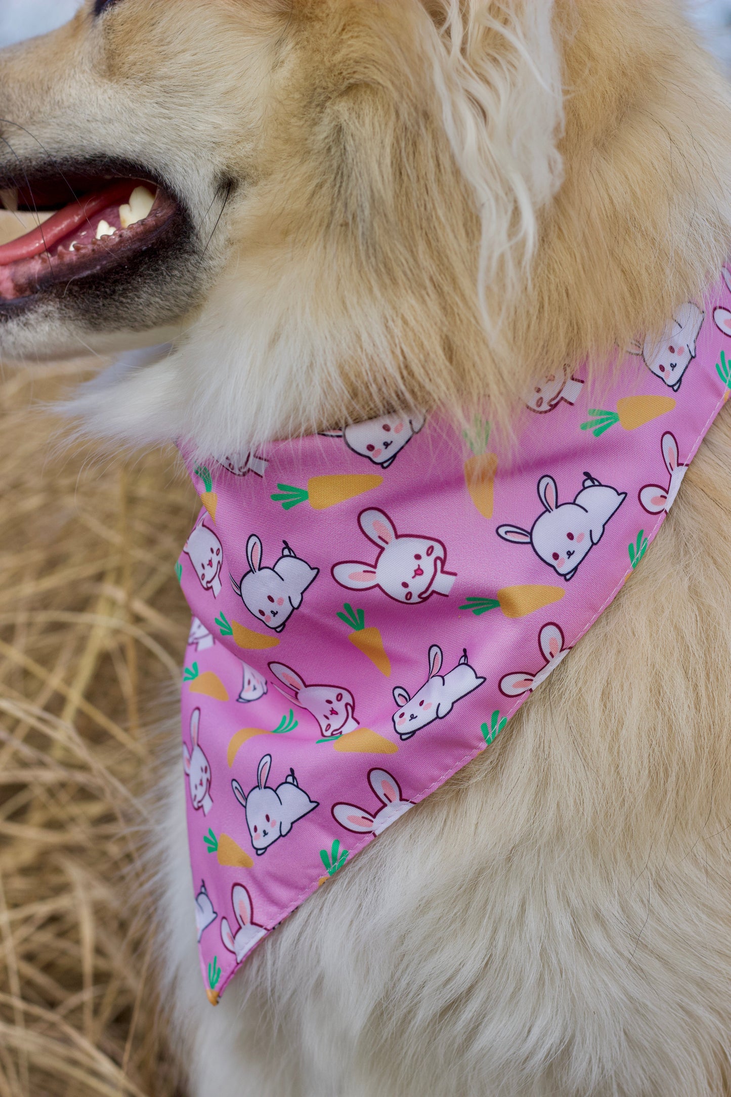 Påske Bandana - Happy Rabbits