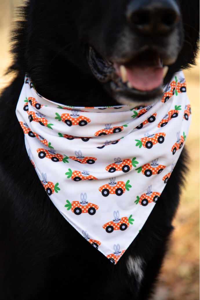 Påske Bandana - Carrot-ride (Vendbar)
