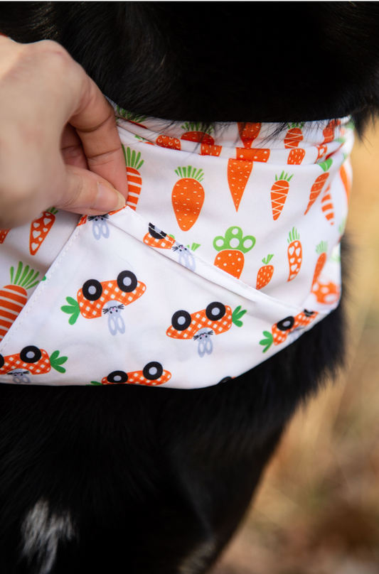 Påske Bandana - Carrot-ride (Vendbar)