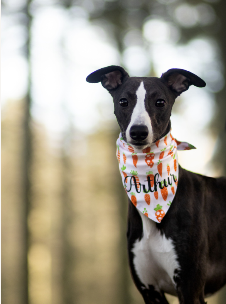 Påske Bandana - Carrot-ride (Vendbar)