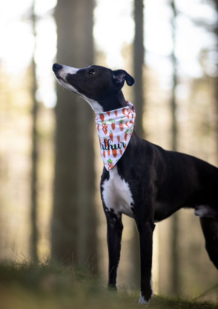 Påske Bandana - Carrot-ride (Vendbar)
