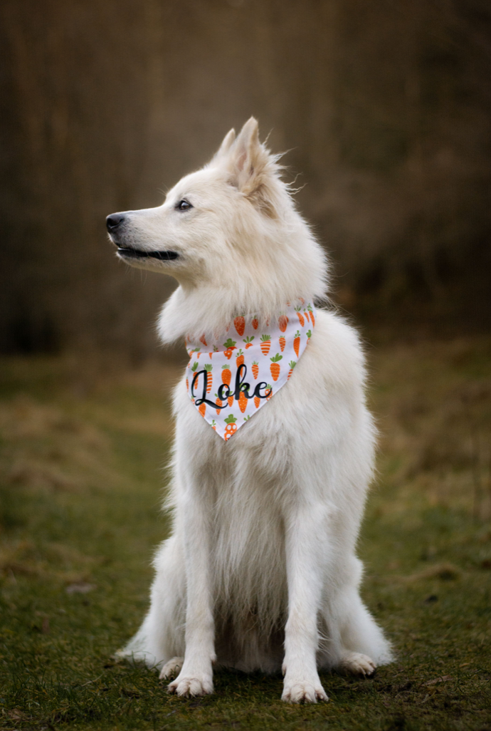 Påske Bandana - Carrot-ride (Vendbar)