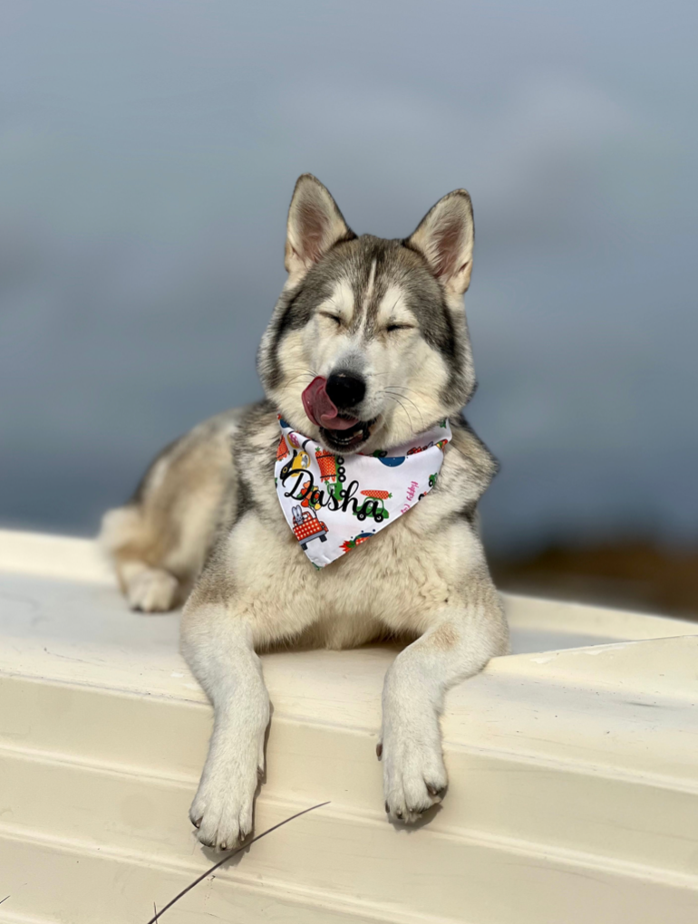 Påske Bandana - Easter-ride (Vendbar)