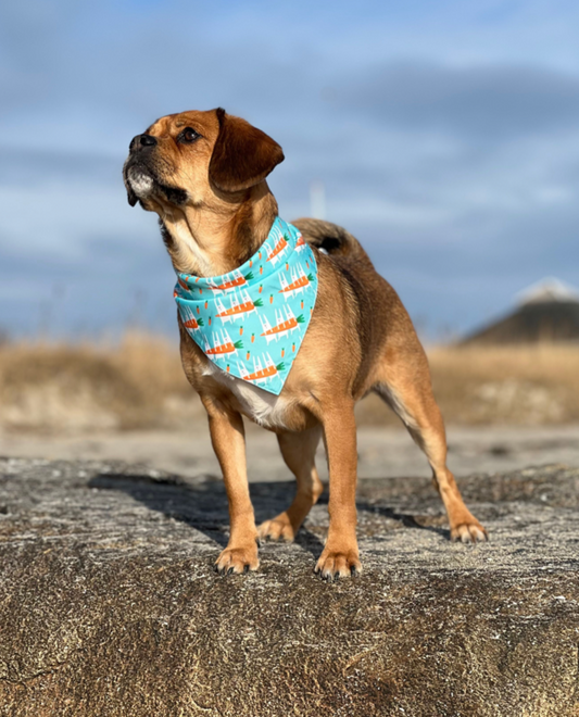 Påske Bandana - Carrot Hunt