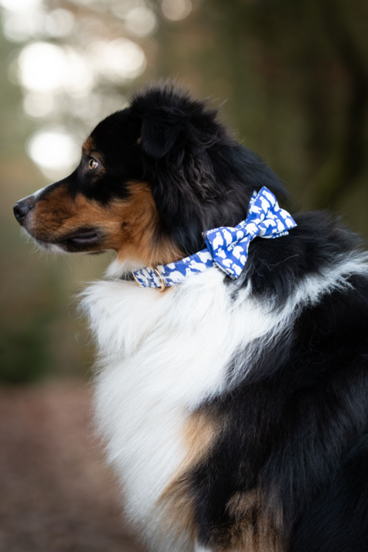 Butterfly - Isbjørne