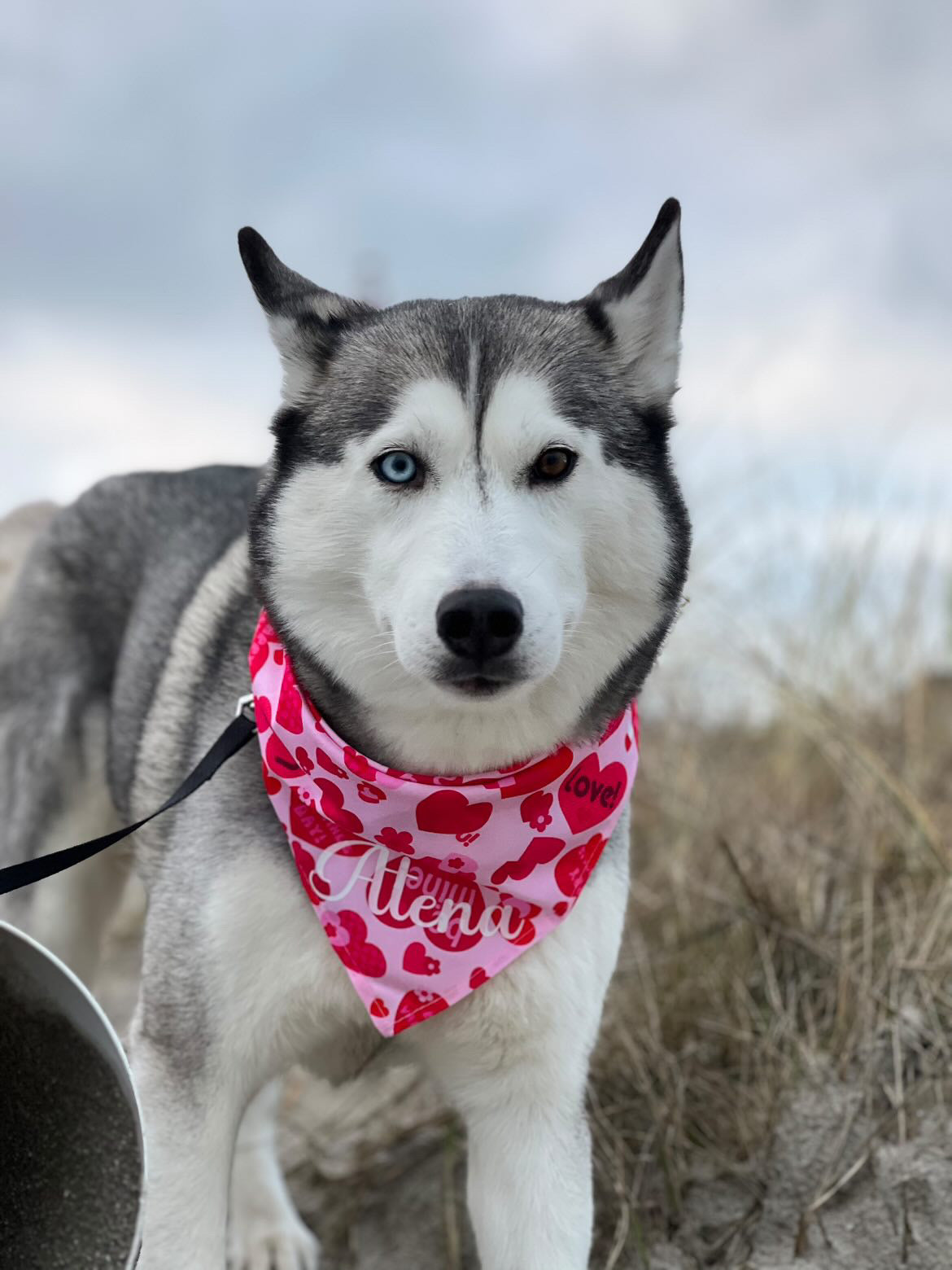 Valentines Bandana - Be My Valentine