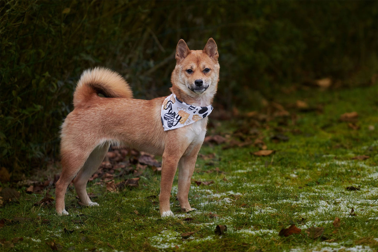 Valentines Bandana - Hvid m. guld og sort
