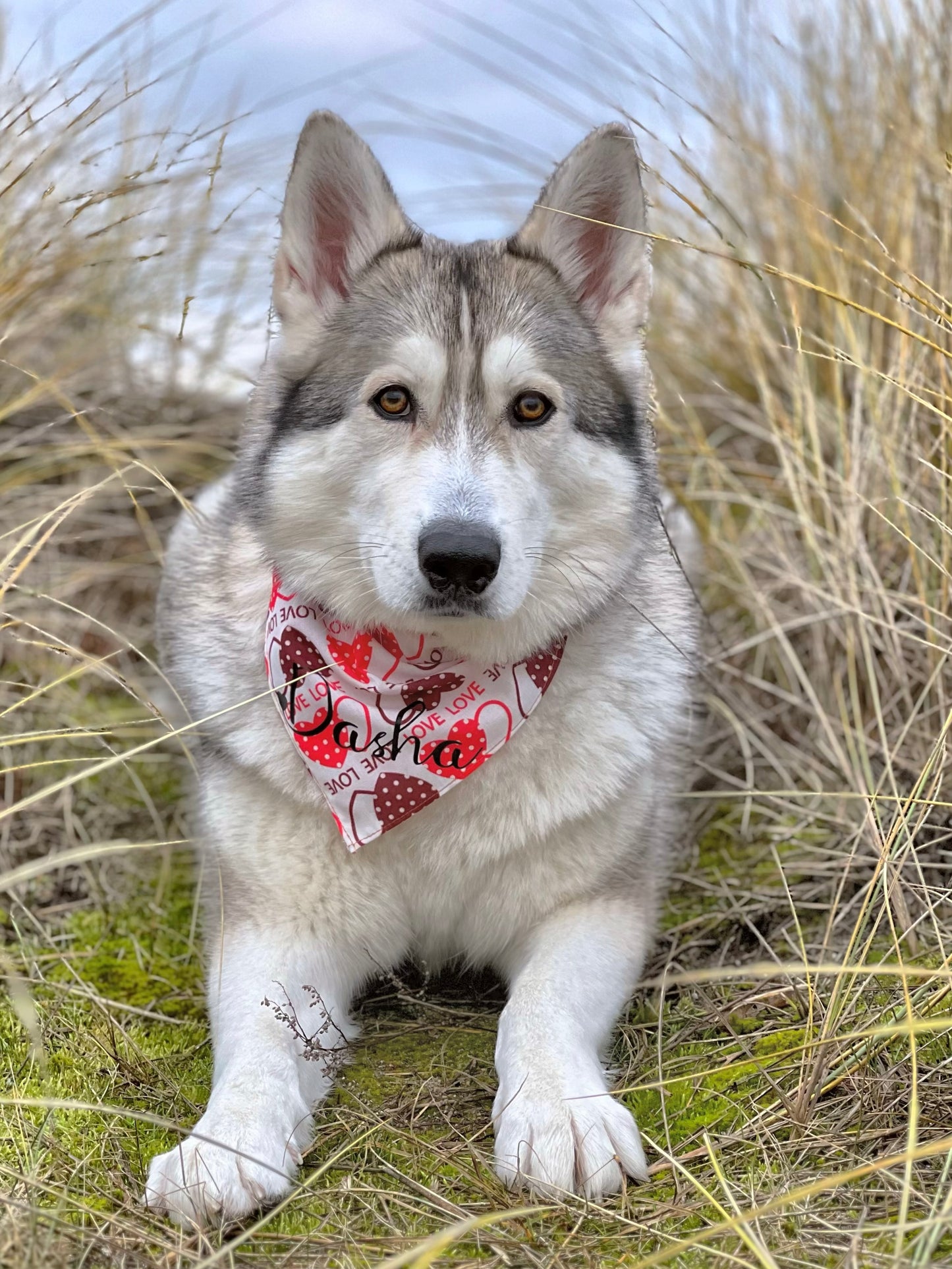 Valentines Bandana - Love Hearts