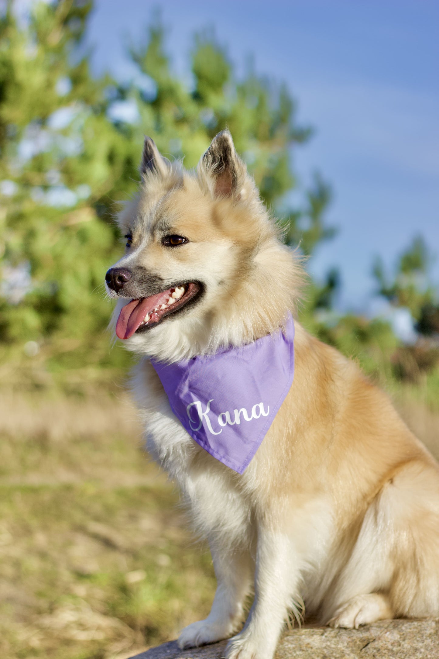Ensfarvet Bandana - Lilla