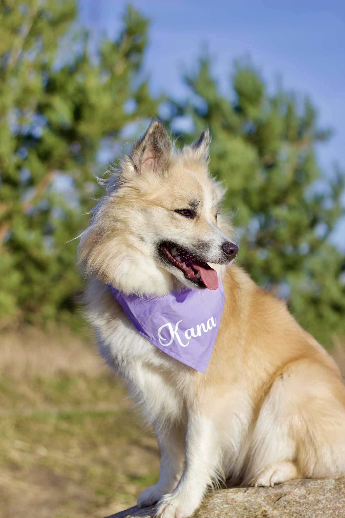 Ensfarvet Bandana - Lilla