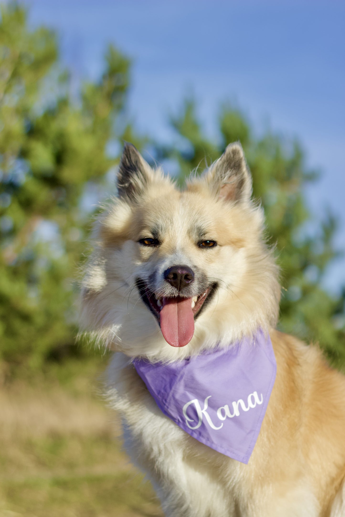 Ensfarvet Bandana - Lilla