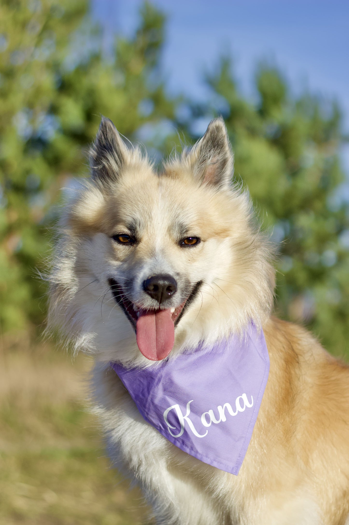 Ensfarvet Bandana - Lilla