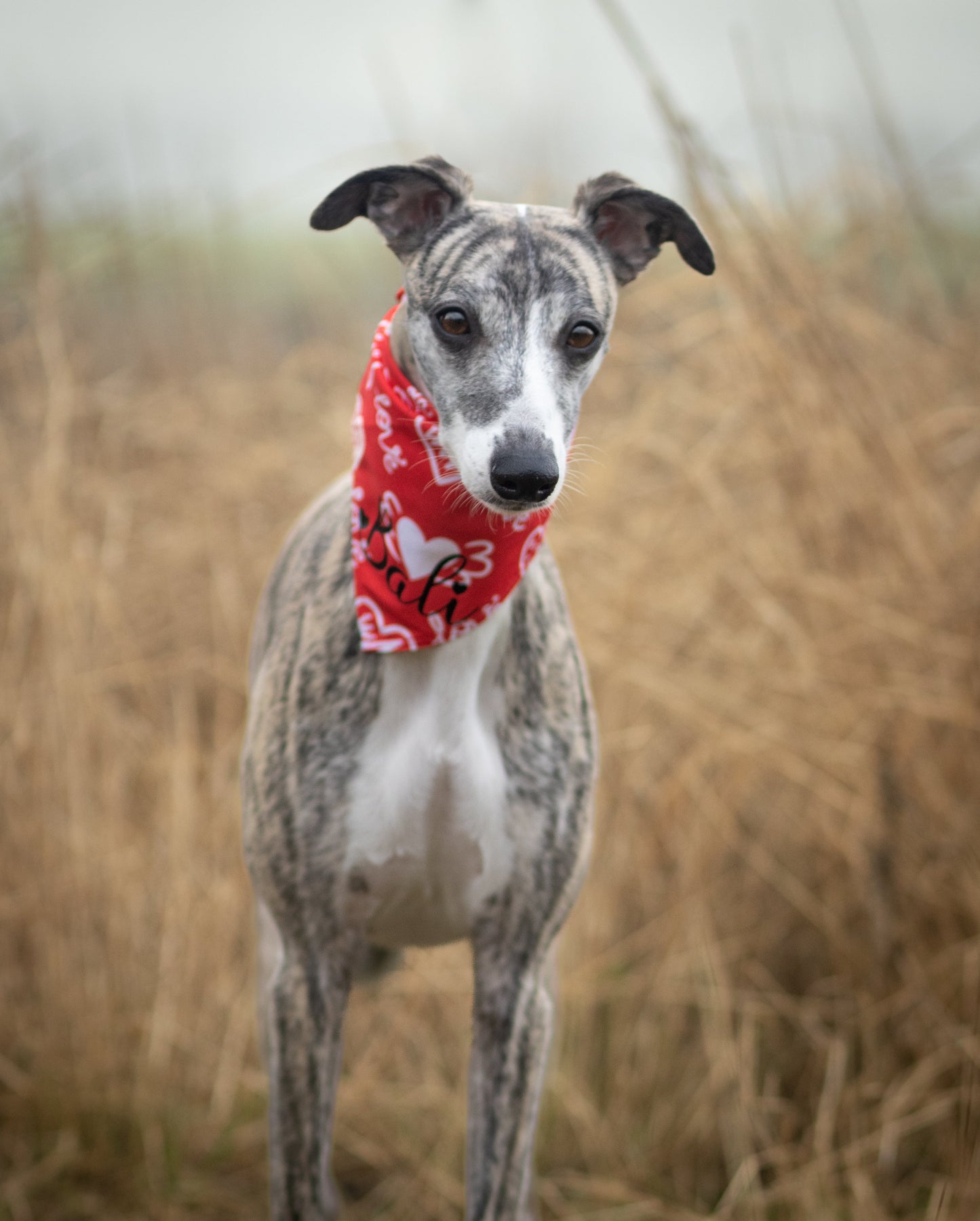 Valentines Bandana - Rød med hvide hjerter