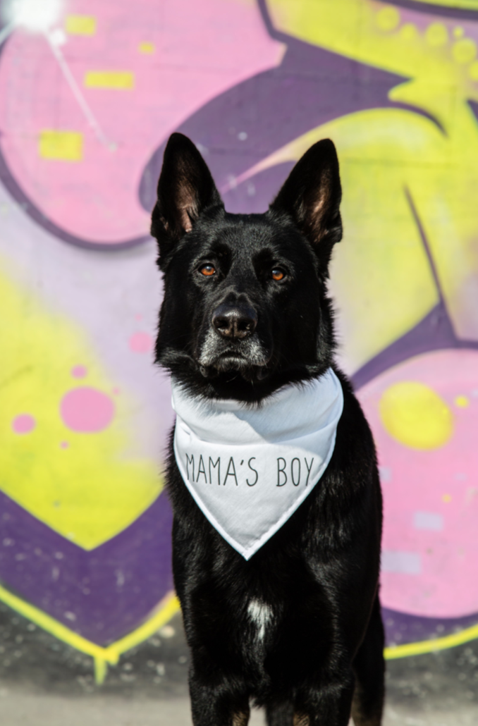 Ensfarvet Bandana - Hvid