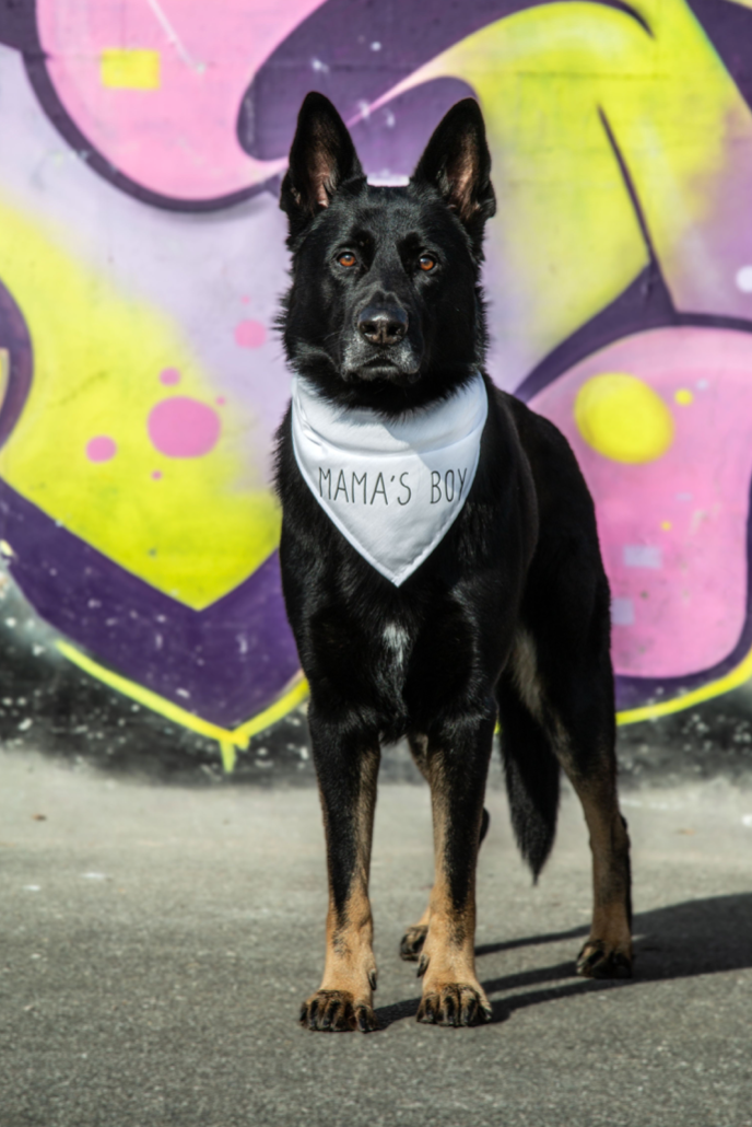 Ensfarvet Bandana - Hvid