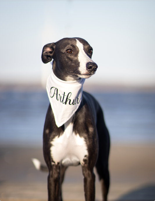 Ensfarvet Bandana - Hvid