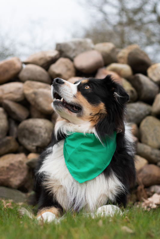 Ensfarvet Bandana - Mørkegrøn