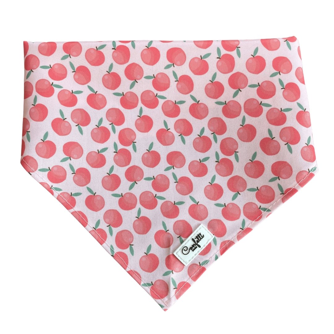 Bandana - Pretty Peach - Confetti Dogs