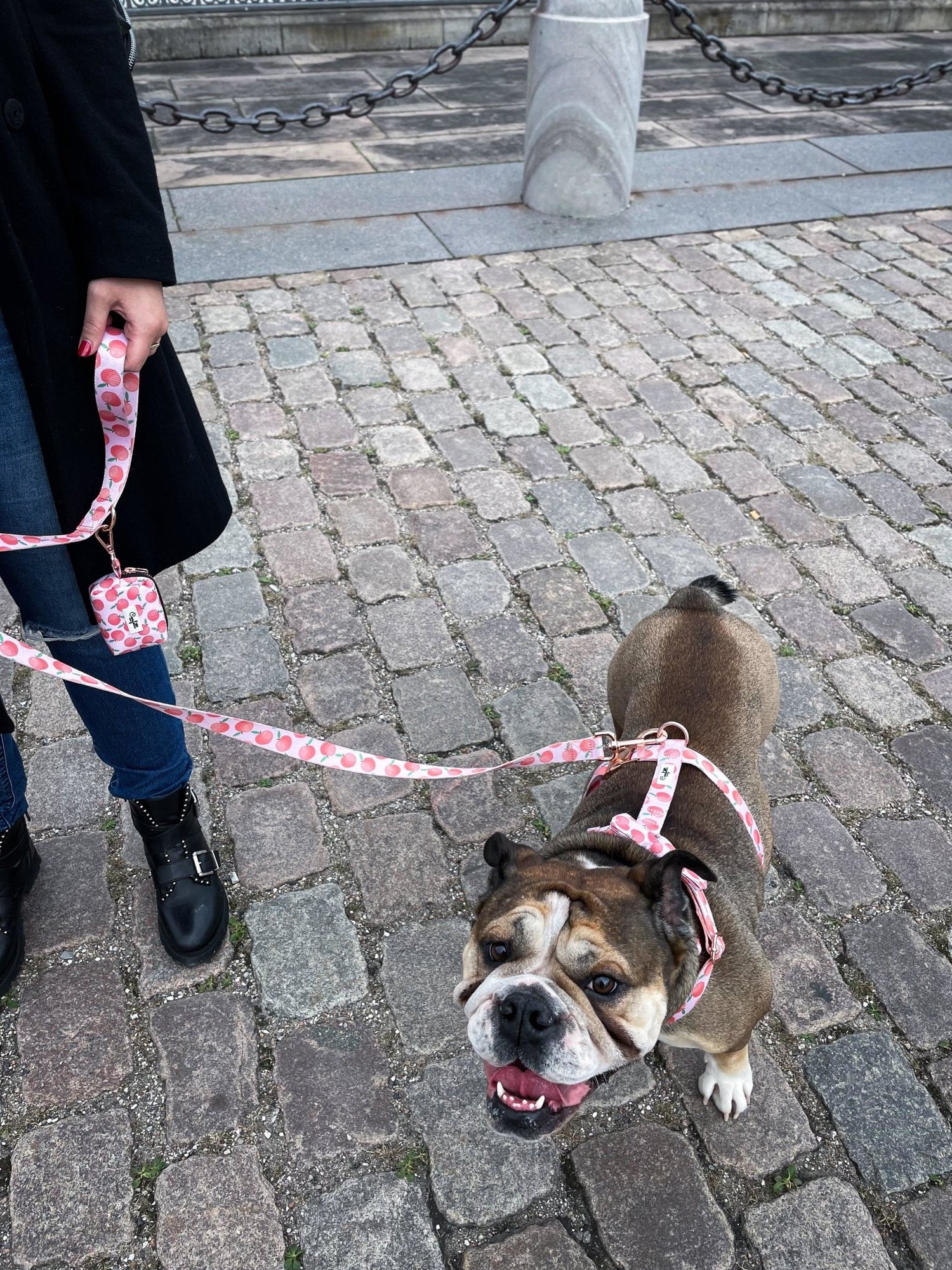 Alle produkter - Confetti Dogs