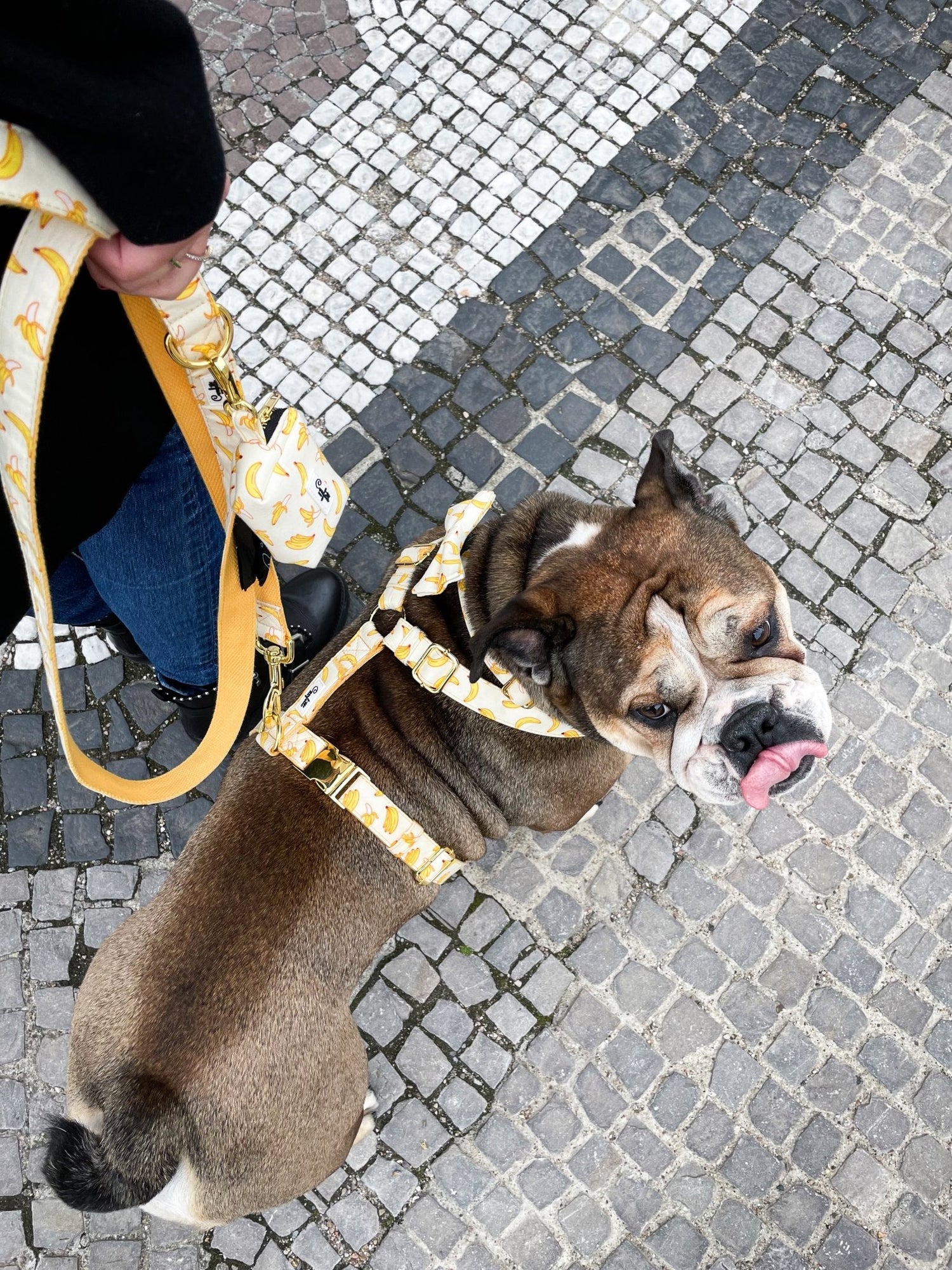 Go Bananas 🍌 - Confetti Dogs