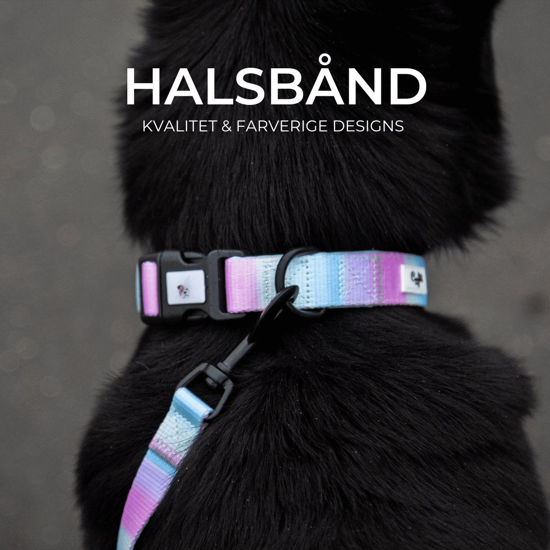 Halsbånd - Confetti Dogs