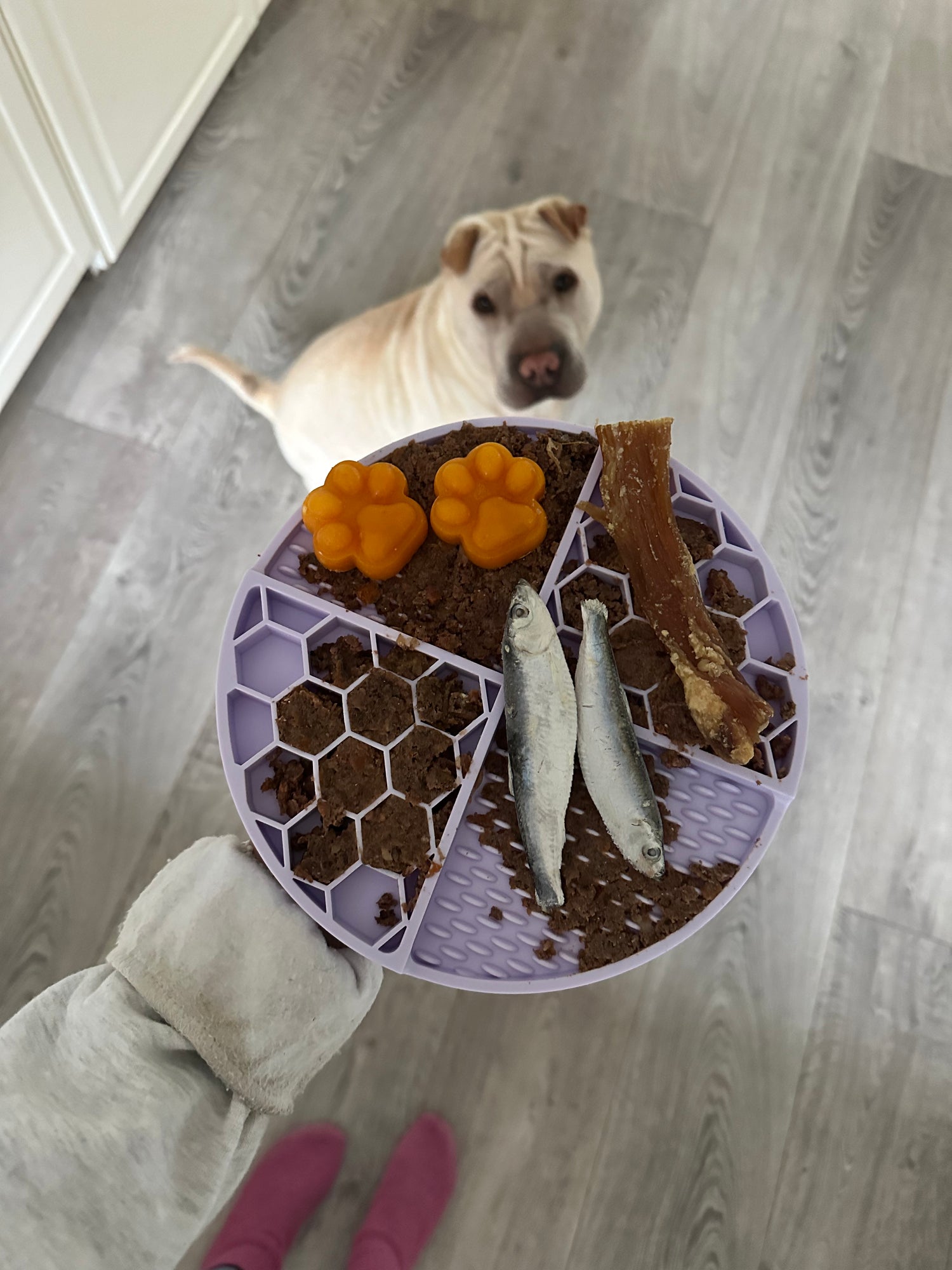 Slowfeeder skåle til hund