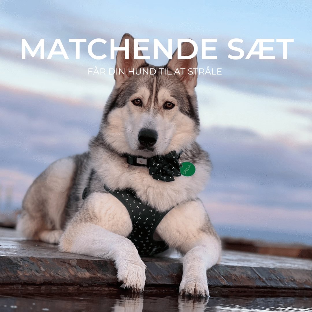 Matchende sæt - Confetti Dogs