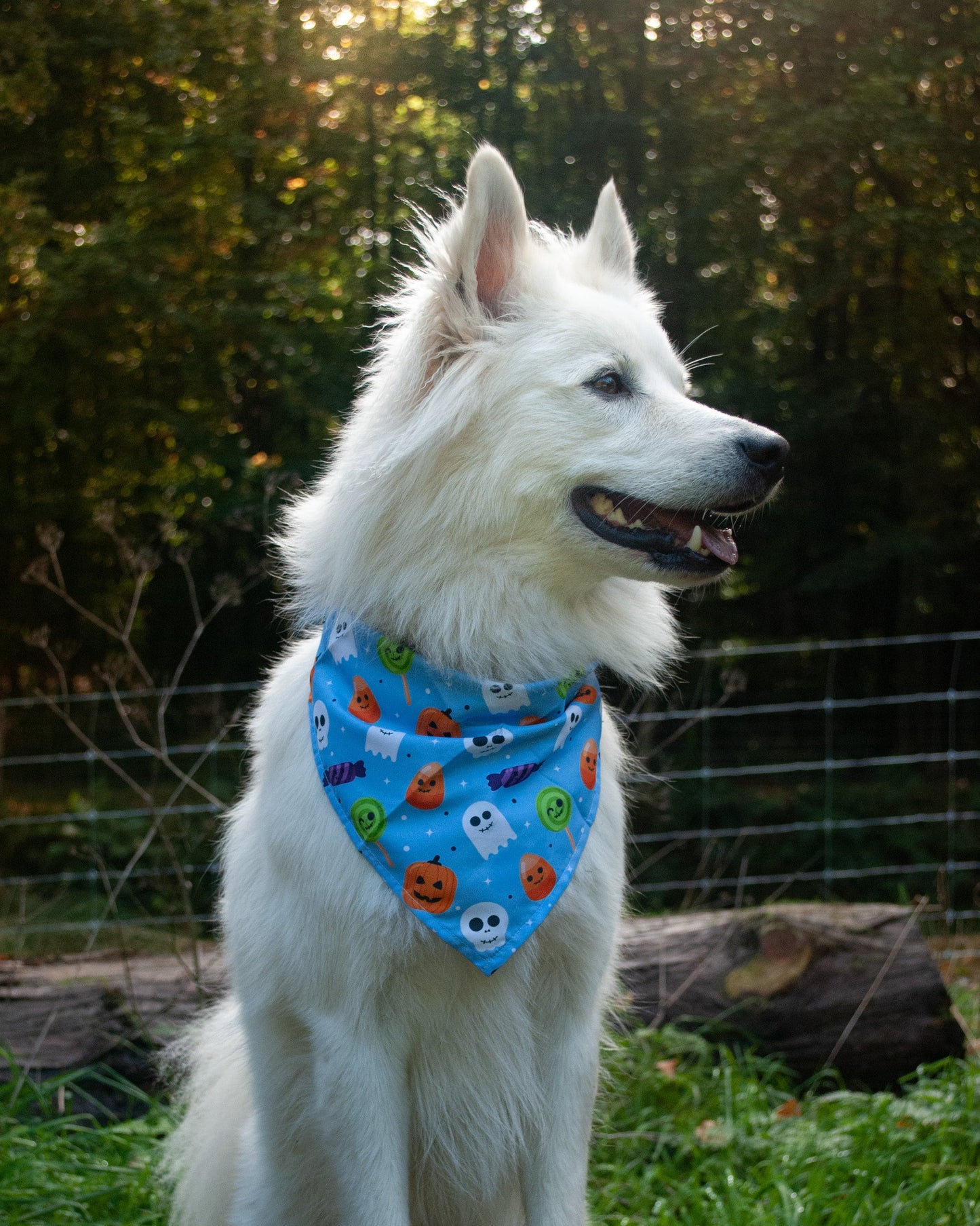Spooky Blue - Halloween Bandana til hund