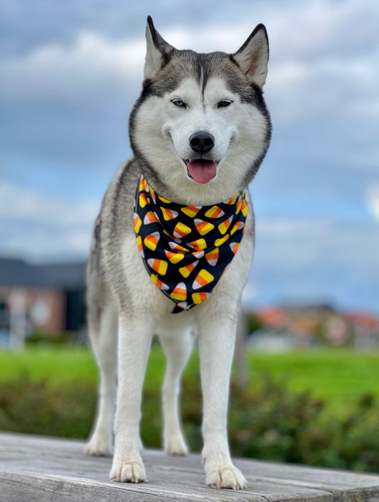 Candy Corn - Halloween Bandana til hund