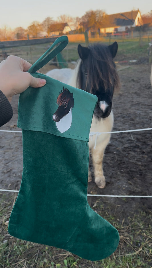 Dit dyr på julesok - Farveportræt