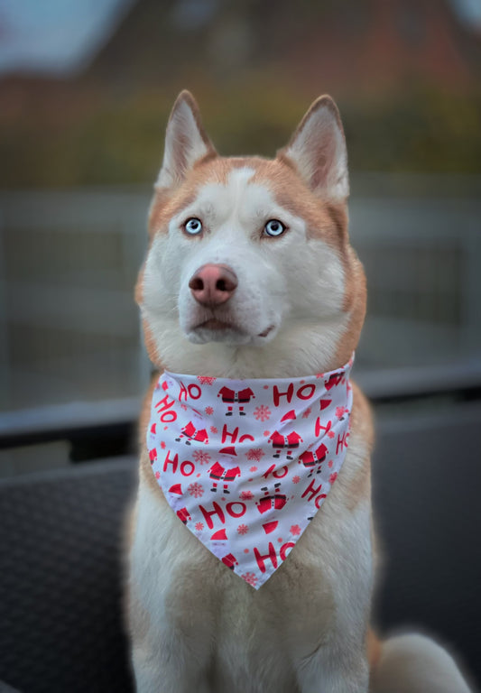 Jule Bandana - Ho Ho Ho
