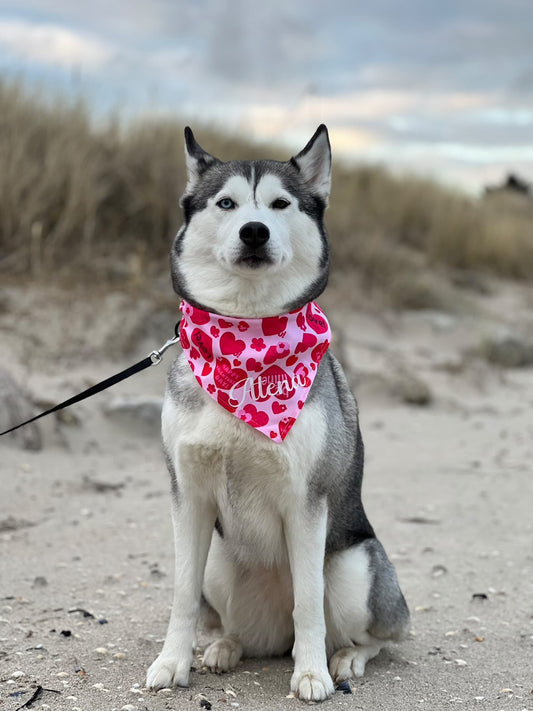 Valentines Bandana - Be My Valentine