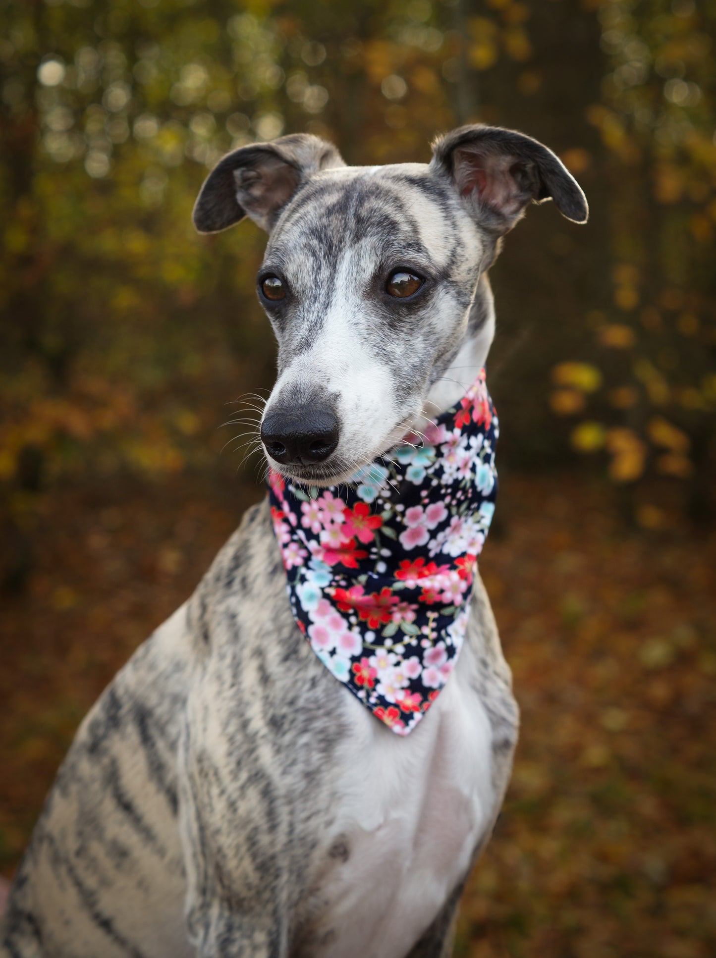 Bandana - Black Blossom