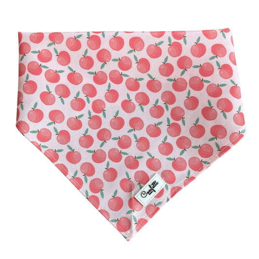 Bandana - Pretty Peach - Confetti Dogs